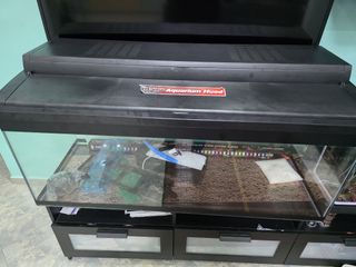 (Category: ) located in . Submitted by noorameen (Listing ID 1380841405, Image 1). Description: .