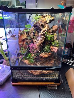 (Category: ) located in . Submitted by edison-7531 (Listing ID 1380768910, Image 1). Description: .