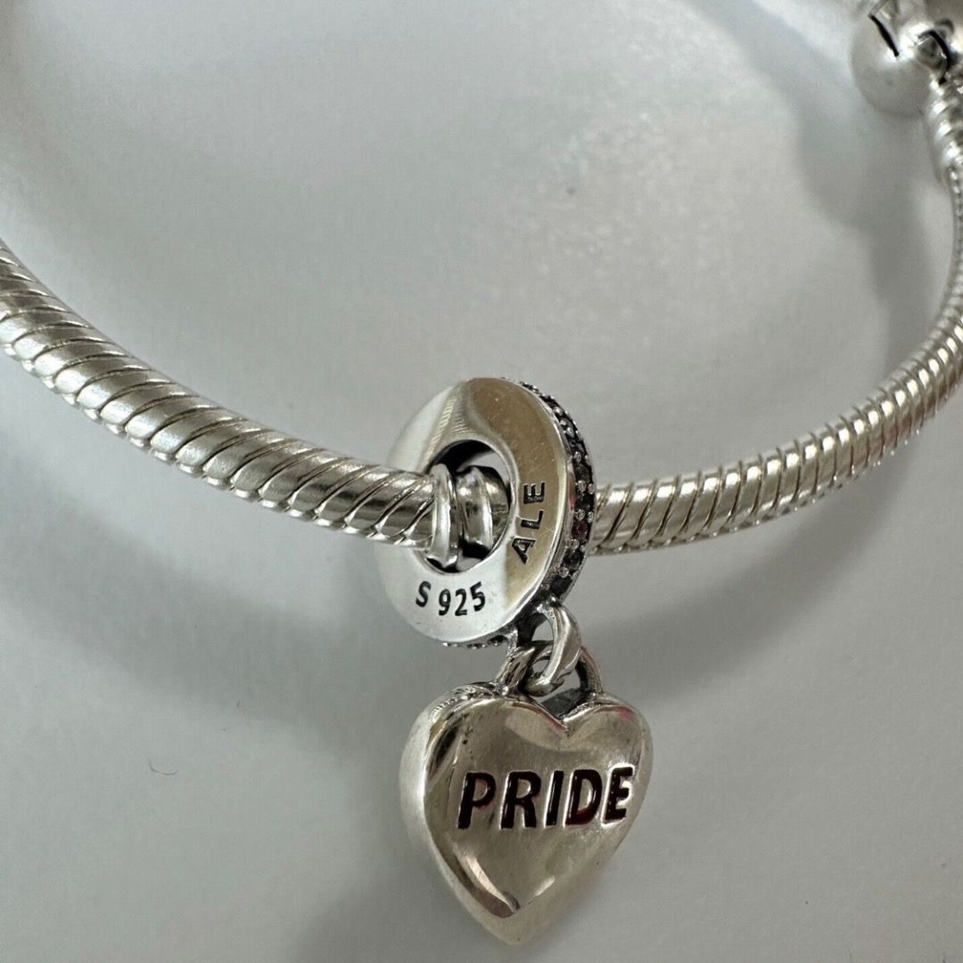 Dangle Charm Pandora Pride Earrings Hạt Vòng Charm Pandora ME