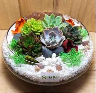 (Category: ) located in . Submitted by lushglassdoor (Listing ID 1380766203, Image 1). Description: .
