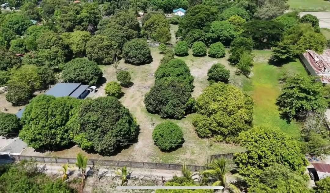 (Category: ) located in . Submitted by rmvlistings (Listing ID 1380979035, Image 1). Description: .