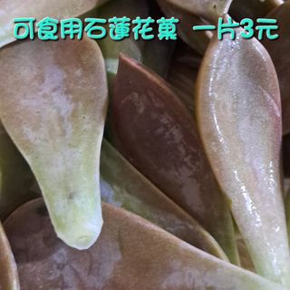 由 unmeinomori2025 (刊登 ID 1380958374，圖片 1) 提交，位於 的 (類別：)，說明：。