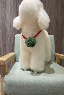 由 beccayu (刊登 ID 1380996508，圖片 1) 提交，位於 的 (類別：)，說明：。