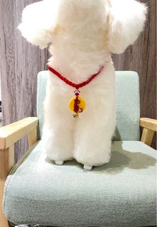 由 beccayu (刊登 ID 1380996981，圖片 1) 提交，位於 的 (類別：)，說明：。