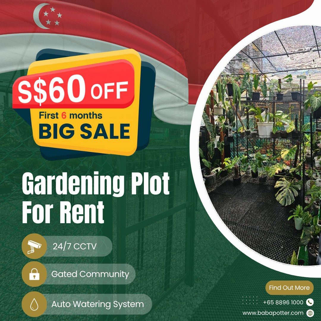 🌿 Garden Plot Rental 🌿 Best Value Deal!🔥