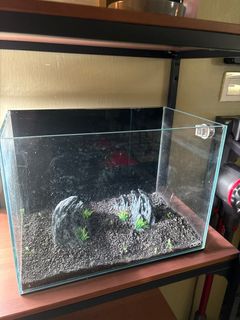 (Category: ) located in . Submitted by aus420 (Listing ID 1381040533, Image 1). Description: .