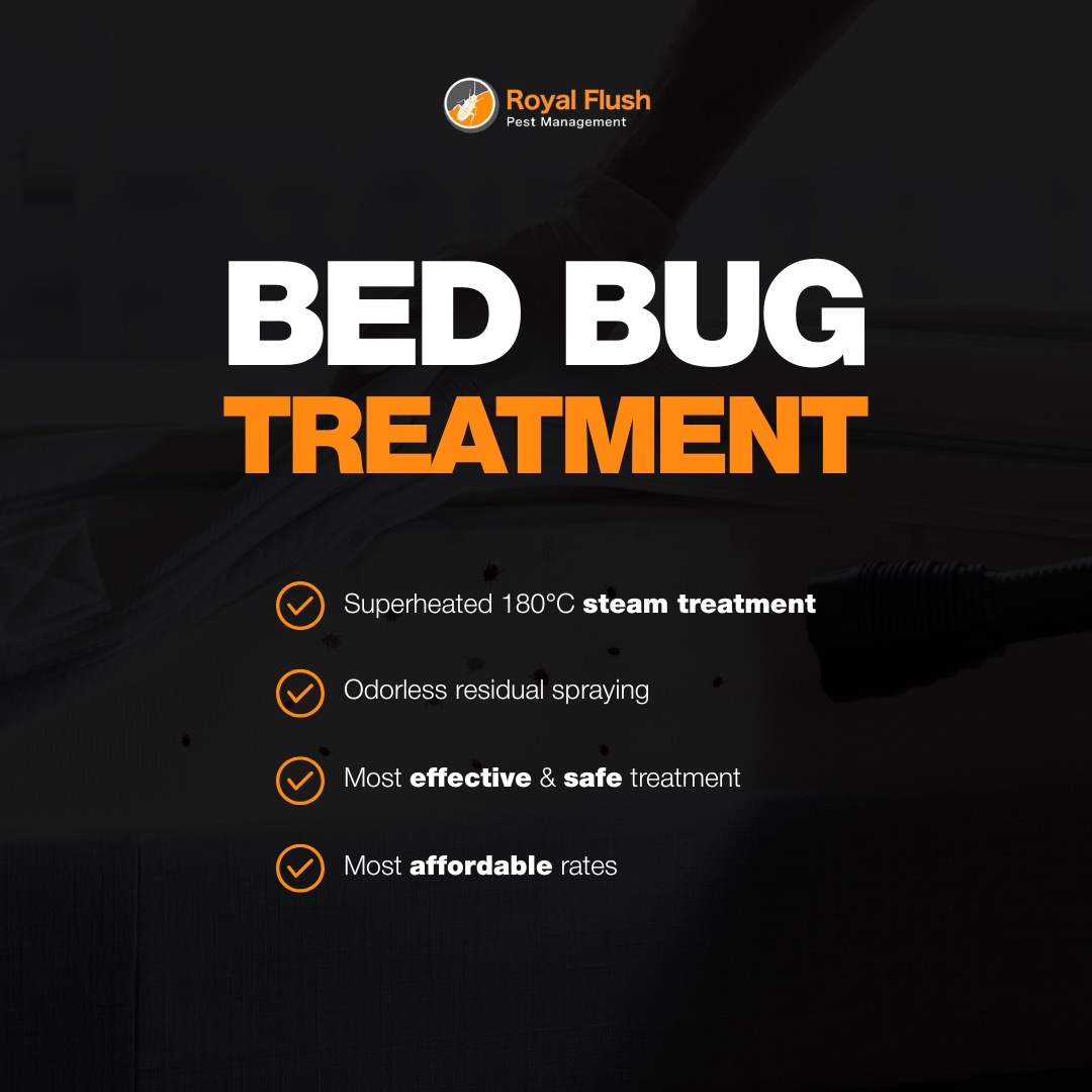 (Category: ) located in . Submitted by royalflushpestmanagement (Listing ID 1376189782, Image 1). Description: .