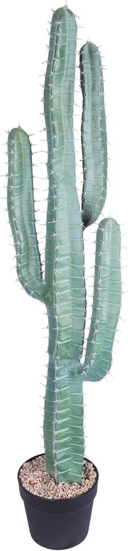 Pretty Artificial Cactus64885045937025113