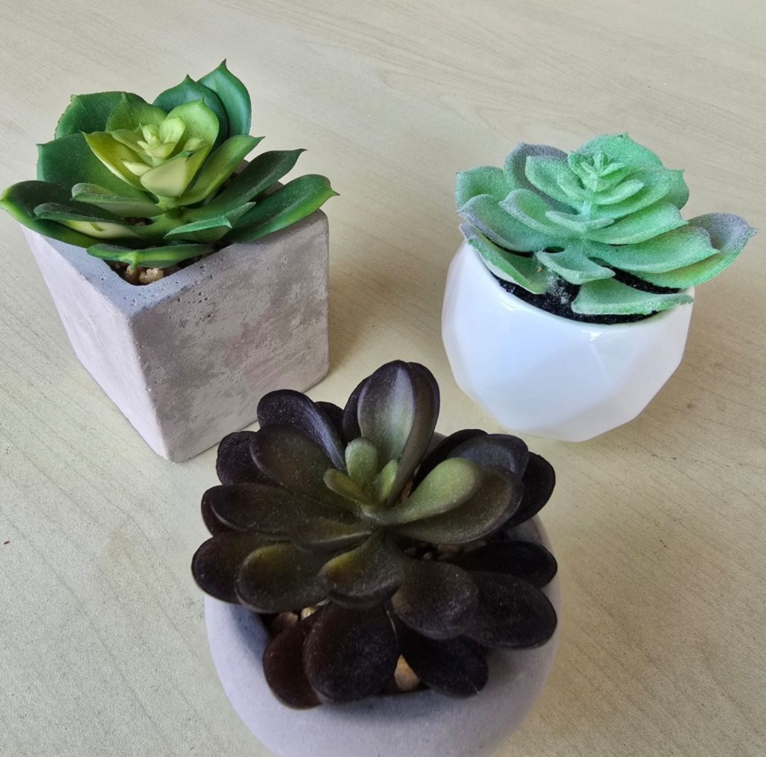 Pretty Artificial Cactus64885045937025115