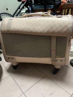 由 honey1902035630 (刊登 ID 1381190949，圖片 1) 提交，位於 的 (類別：)，說明：。