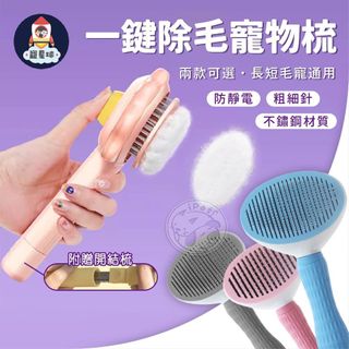 由 goodgoodsgoodprice (刊登 ID 1381262416，圖片 1) 提交，位於 的 (類別：)，說明：。