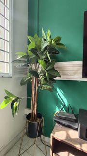 (Category: ) located in . Submitted by merc. (Listing ID 1381165052, Image 1). Description: .