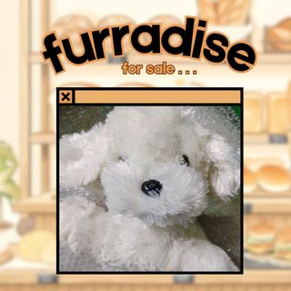 (Category: ) located in . Submitted by furradise (Listing ID 1381150490, Image 1). Description: .