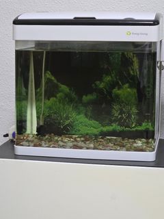 (Category: ) located in . Submitted by tanchi (Listing ID 1381213402, Image 1). Description: .