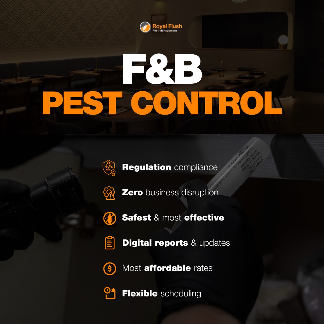 (Category: ) located in . Submitted by royalflushpestmanagement (Listing ID 1375572010, Image 1). Description: .
