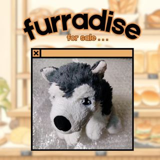 (Category: ) located in . Submitted by furradise (Listing ID 1381161487, Image 1). Description: .