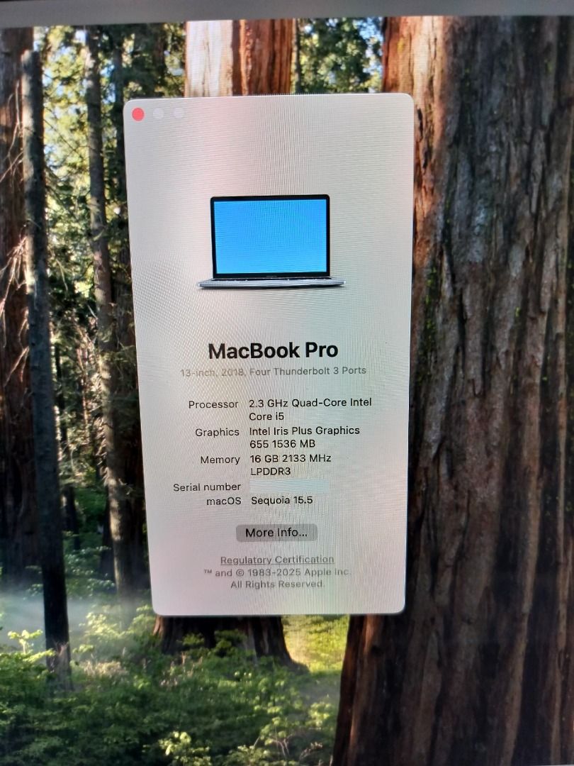 MacBook Pro 13-inch (2018) / 16GB Ram / Touch Bar63168947416835113