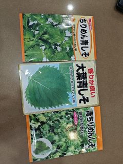 (Category: ) located in . Submitted by jessng8 (Listing ID 1381092999, Image 1). Description: .