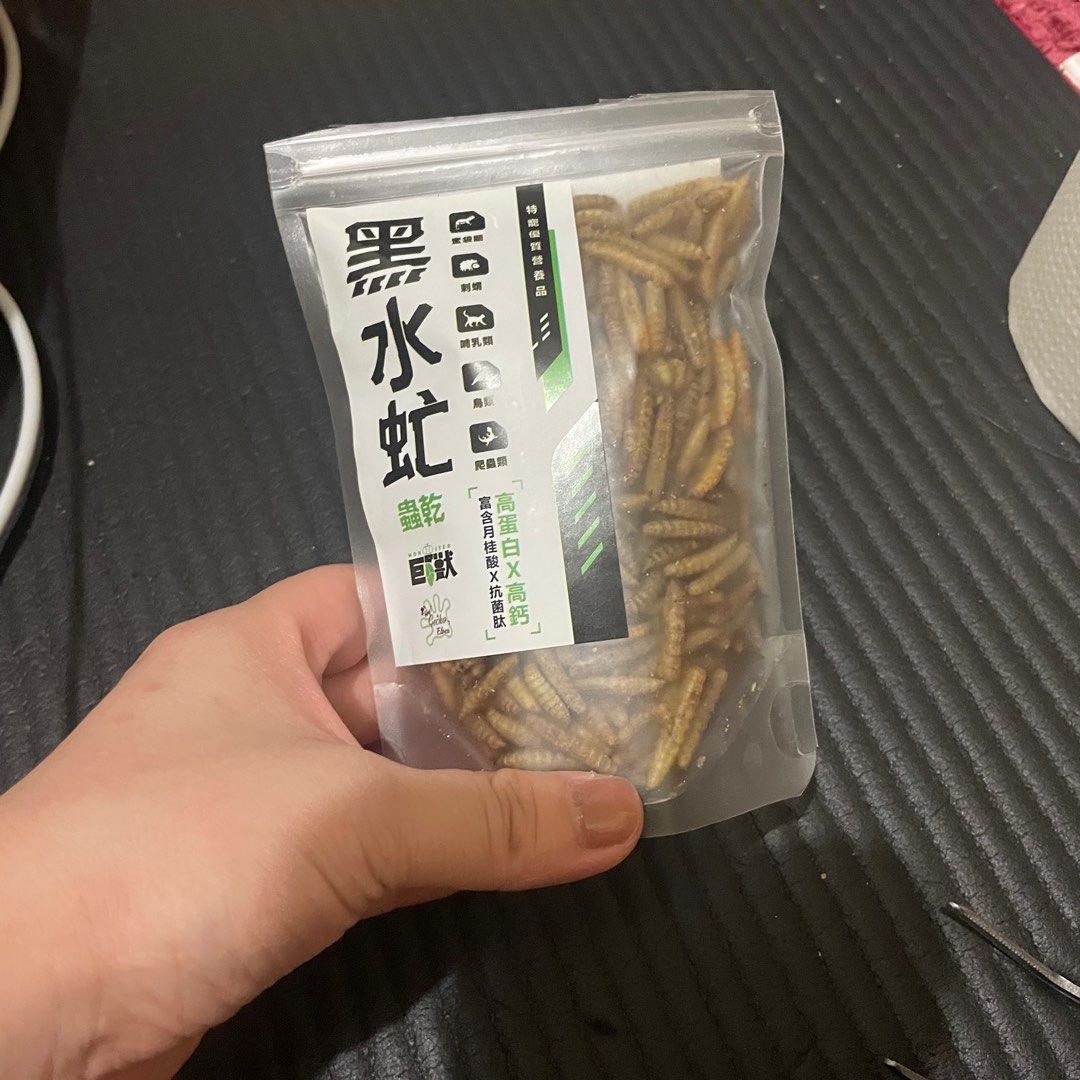 由 jocelyn0423 (刊登 ID 1381392867，圖片 2) 提交，位於 台北市 (Taipei) 的 蟲原蛋白+黑水虻乾 (類別：寵物食品)，說明：蟲原蛋白全新$120 黑水氓9.5新$100 一起帶$200 。