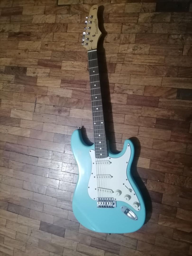 RJ Basics Terracaster electric guitar, Hobbies & Toys, Music & Media ...