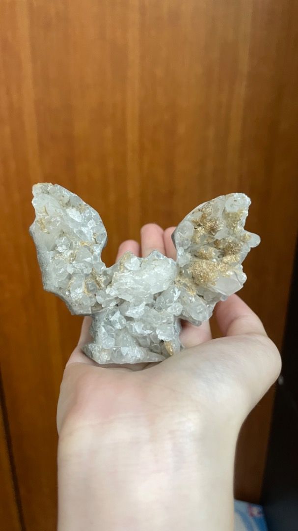 由 1yuiii._ (刊登 ID 1381500476，圖片 2) 提交，位於 高雄市 (Kaohsiung) 的 蝙蝠動物晶簇/水晶 (類別：其他居家裝飾)，說明：商品售出後不退換 有任何問題都可以私訊詢問喔！。