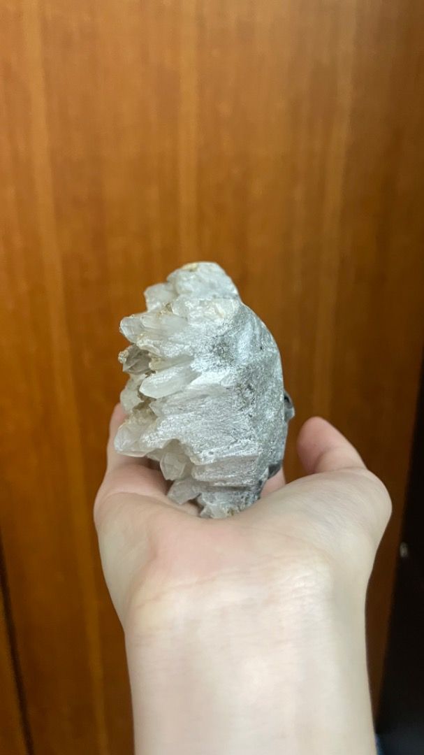 由 1yuiii._ (刊登 ID 1381500476，圖片 3) 提交，位於 高雄市 (Kaohsiung) 的 蝙蝠動物晶簇/水晶 (類別：其他居家裝飾)，說明：商品售出後不退換 有任何問題都可以私訊詢問喔！。
