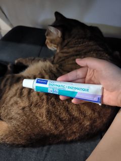 由 cokecat02263437 (刊登 ID 1381565094，圖片 1) 提交，位於 的 (類別：)，說明：。