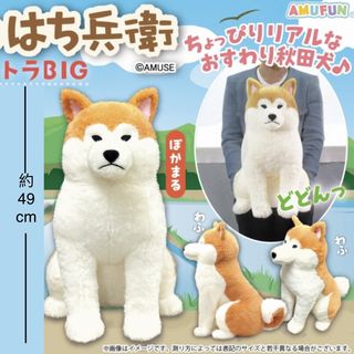 （分類：）位於 。 由 rac.c 提交（商品編號 1381606508，圖片 1）。簡介： 。