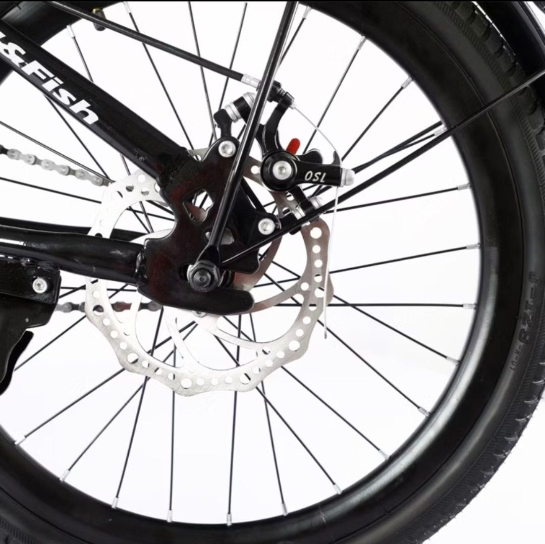Bird &amp; Fish 20 inch Sport Folding Bike, Sports Equipment, Bicycles ...