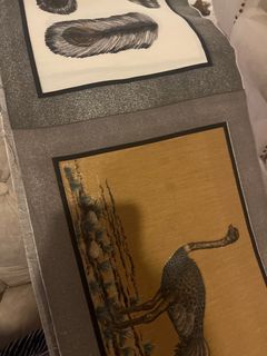 (Category: ) located in . Submitted by moonlight. (Listing ID 1381633331, Image 1). Description: .