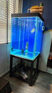 (Category: ) located in . Submitted by noris_07 (Listing ID 1381497540, Image 1). Description: .
