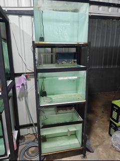 (Category: ) located in . Submitted by shenglong1988 (Listing ID 1378256695, Image 1). Description: .