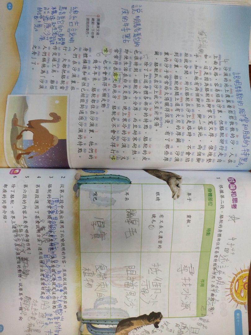 新編啟思中國語文六上六下第一冊第二冊, 興趣及遊戲, 書本& 文具, 教科書- Carousell