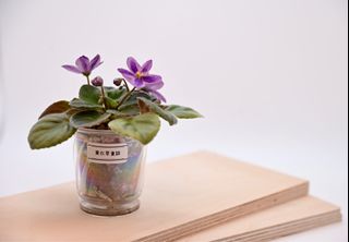 （分類：）位於 。 由 cc_agave 提交（商品編號 1378156582，圖片 1）。簡介： 。