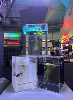 (Category: ) located in . Submitted by bingo_aquatic_solutions (Listing ID 1347480704, Image 1). Description: .