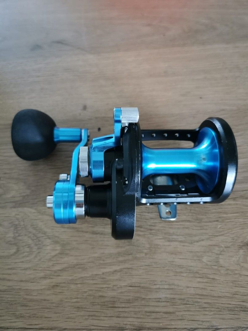 Daiwa Saltist LD30 2 Speed, Sports Equipment, Fishing on Carousell