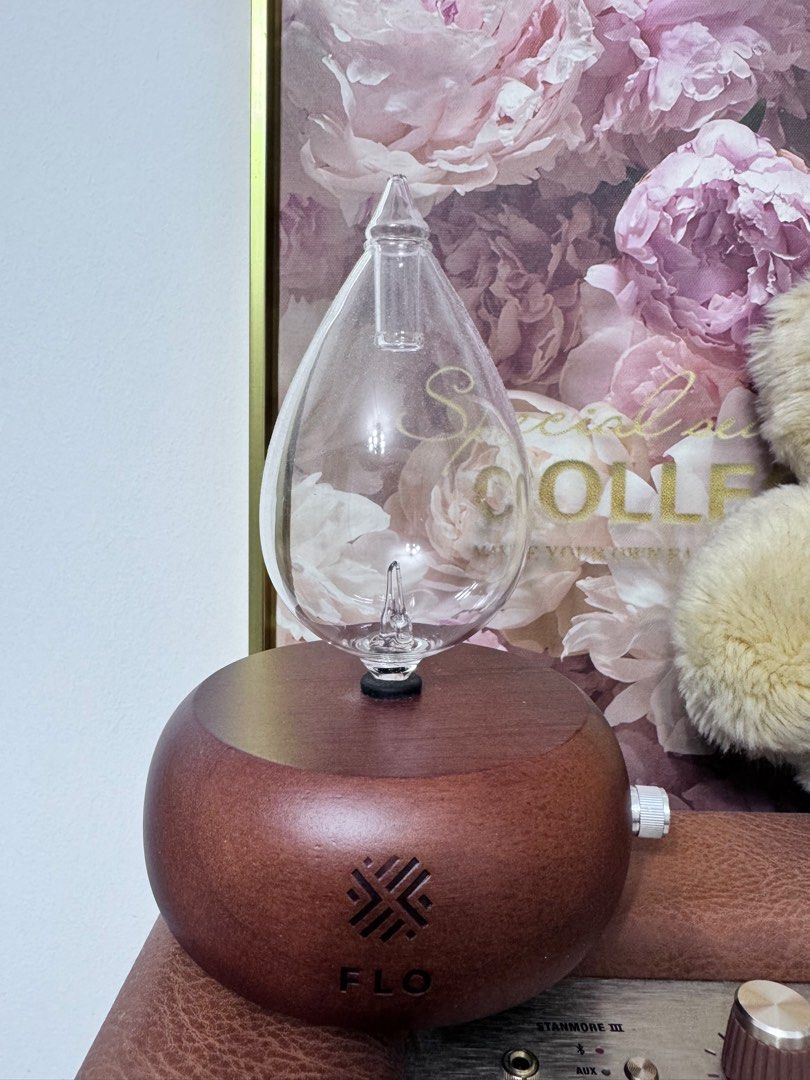 Flo heatless waterless diffuser