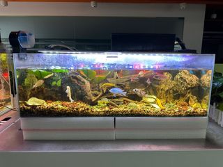 (Category: ) located in . Submitted by sam589719740896 (Listing ID 1378269756, Image 1). Description: .