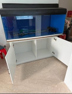 (Category: ) located in . Submitted by nishug85 (Listing ID 1378330100, Image 1). Description: .