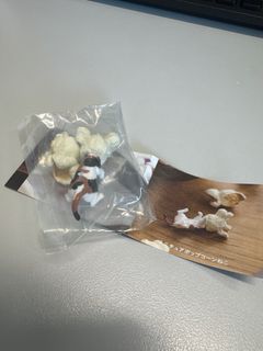 （分類：）位於 。 由 kkprivatesale 提交（商品編號 1378206146，圖片 1）。簡介： 。