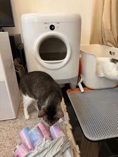 (Category: ) located in . Submitted by espressomiso (Listing ID 1378282611, Image 1). Description: .