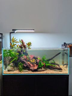 (Category: ) located in . Submitted by ascape (Listing ID 1378251418, Image 1). Description: .