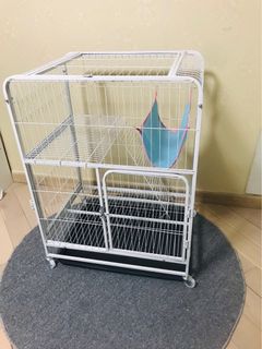 （分類：）位於 。 由 sweetcat715 提交（商品編號 1381680141，圖片 1）。簡介： 。