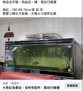 由 lovely258571680 (刊登 ID 1381819880，圖片 1) 提交，位於 的 (類別：)，說明：。