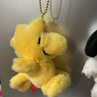 由 woogu (刊登 ID 1381881538，圖片 1) 提交，位於 的 (類別：)，說明：。