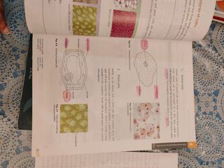 （分類：）位於 。 由 ran98424 提交（商品編號 1381709614，圖片 1）。簡介： 。