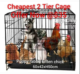 (Category: ) located in . Submitted by petstyle888 (Listing ID 1381713056, Image 1). Description: .