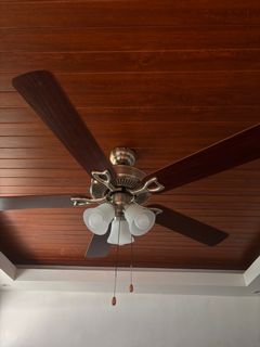 (Category: ) located in . Submitted by mgeomyo (Listing ID 1381771249, Image 1). Description: .