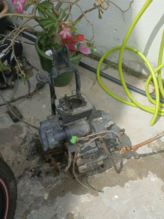 (Category: ) located in . Submitted by testbulan870020 (Listing ID 1381755848, Image 1). Description: .