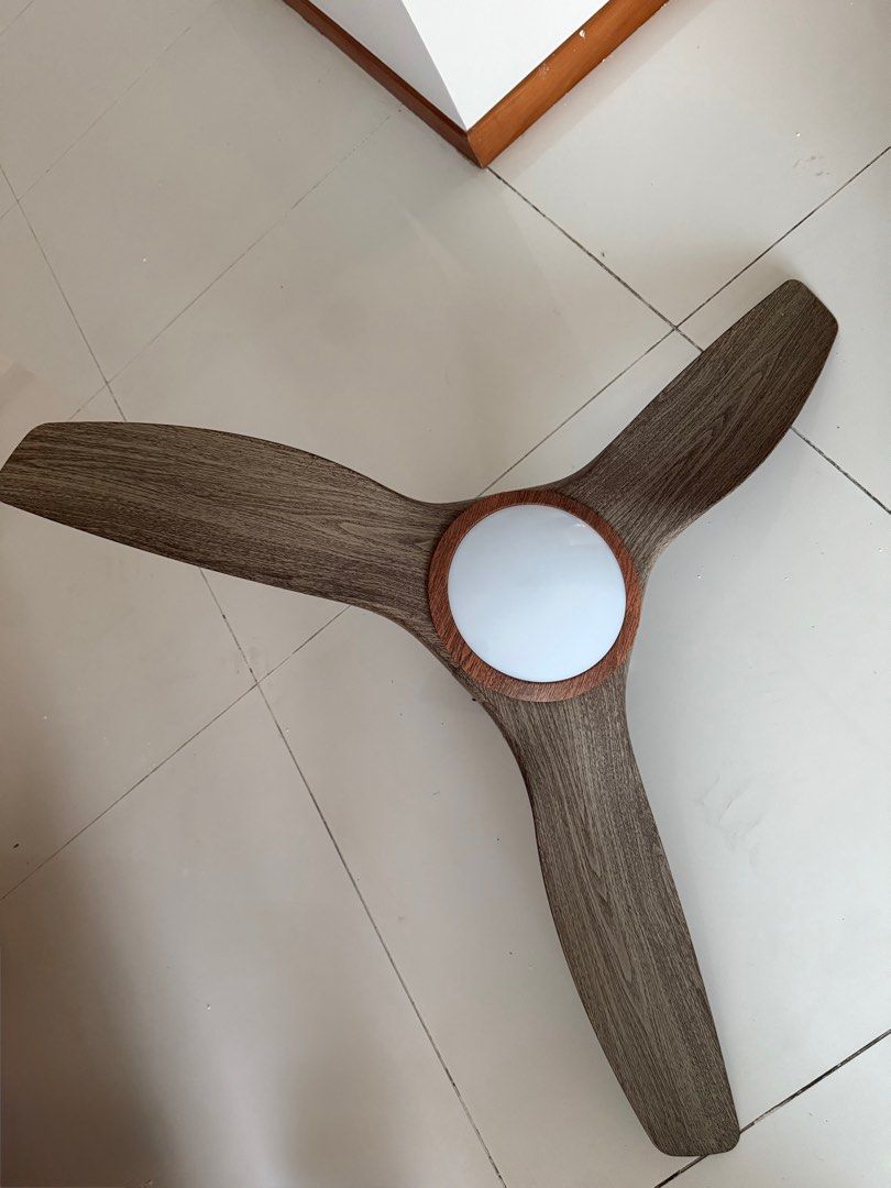 Fan light